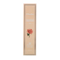 Glow Luminous Flower Sun Spray - Rose